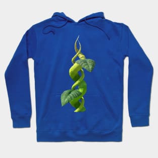 Leaf Leap Hoodie